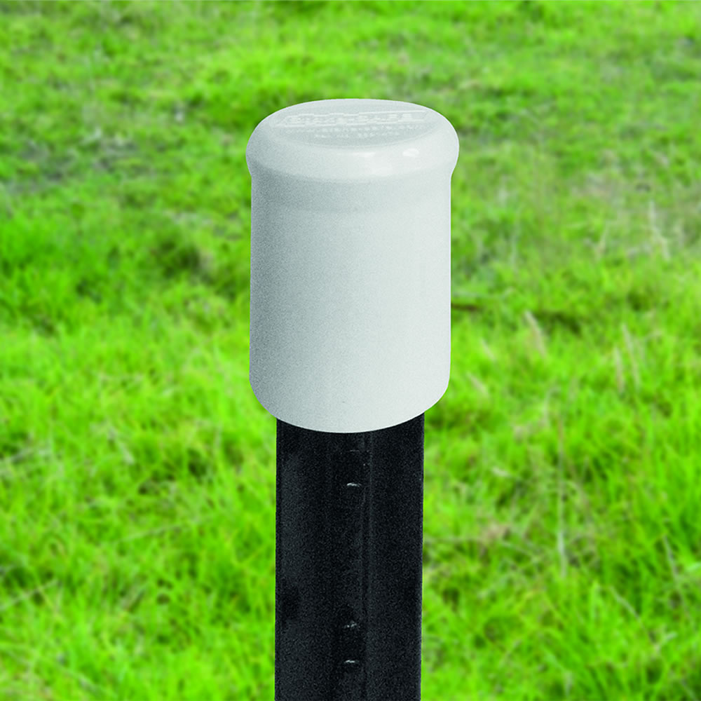 Safety Cap Insulator - White, Pack of 10
