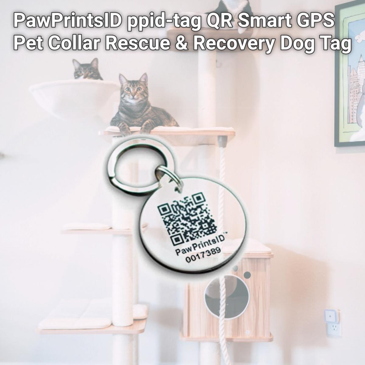 Picture of PawPrintsID ppid-tag QR Smart GPS Pet Collar Rescue & Recovery Dog Tag