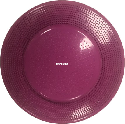 Picture of FitPAWS PFPKBDRZ22 22 in. 6P Free Canine Balance Disc&#44; Razzleberry