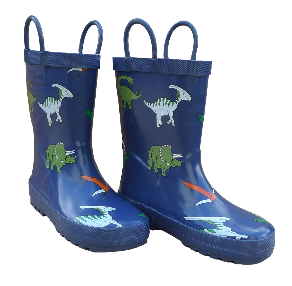 Childrens Blue Dinosaurs Rain Boot - Size 12
