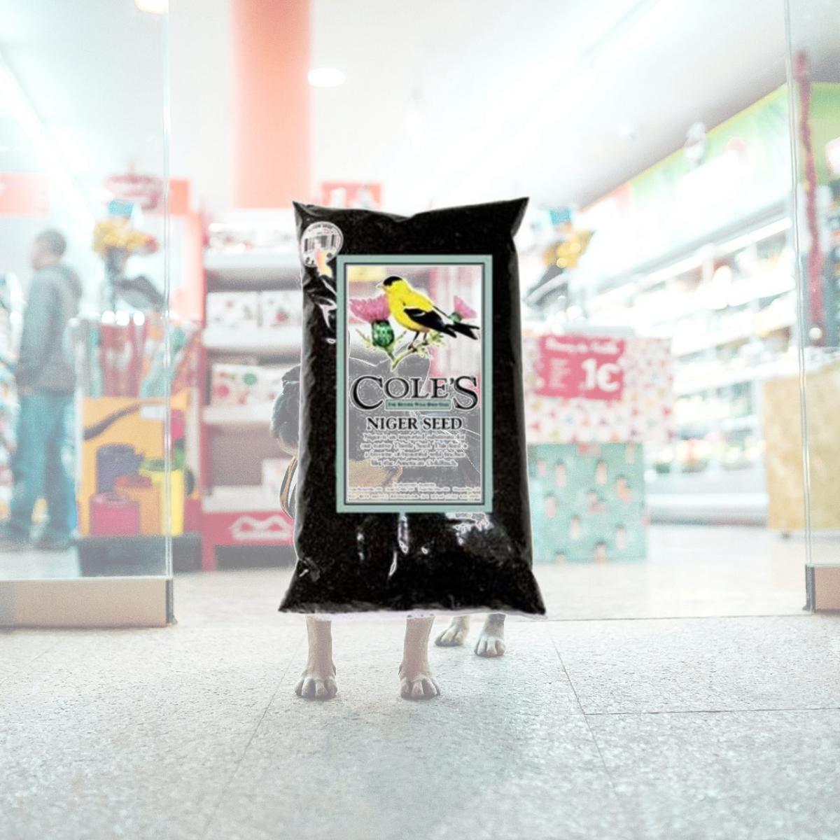 Picture of Coles Wild Bird Products Co COLESGCNI05 Niger Seed 5 lbs.