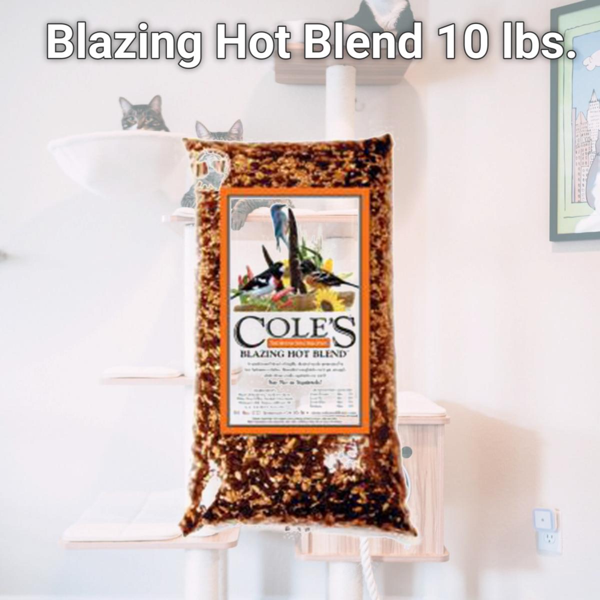 Picture of Coles Wild Bird Products Co COLESGCBH10 Blazing Hot Blend 10 lbs.