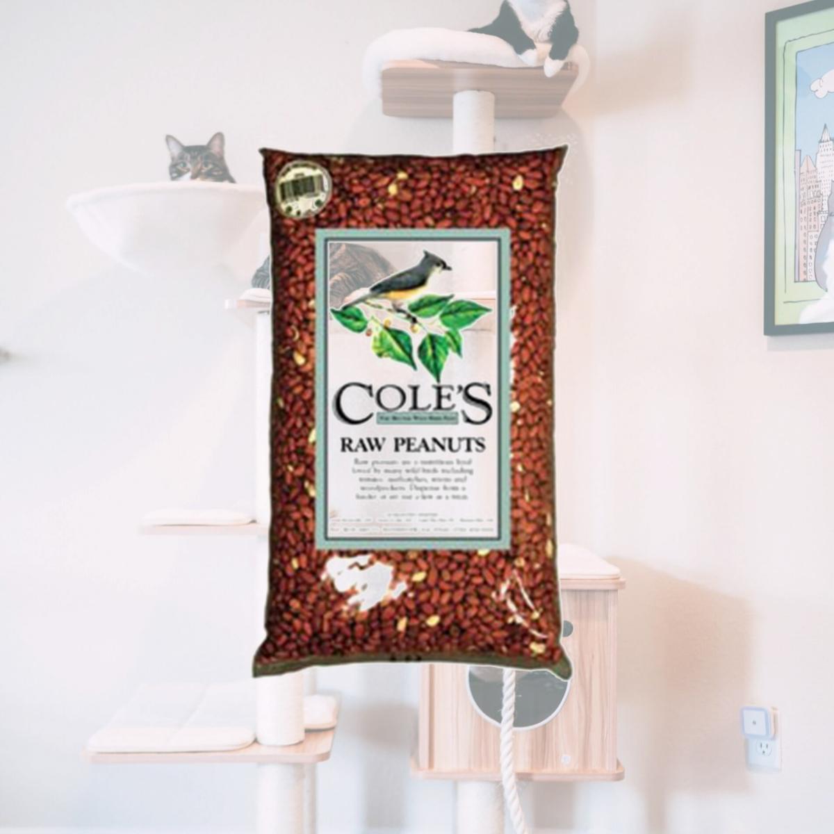 Picture of Coles Wild Bird Products Co COLESGCRP10 Raw Peanuts 10 lbs.