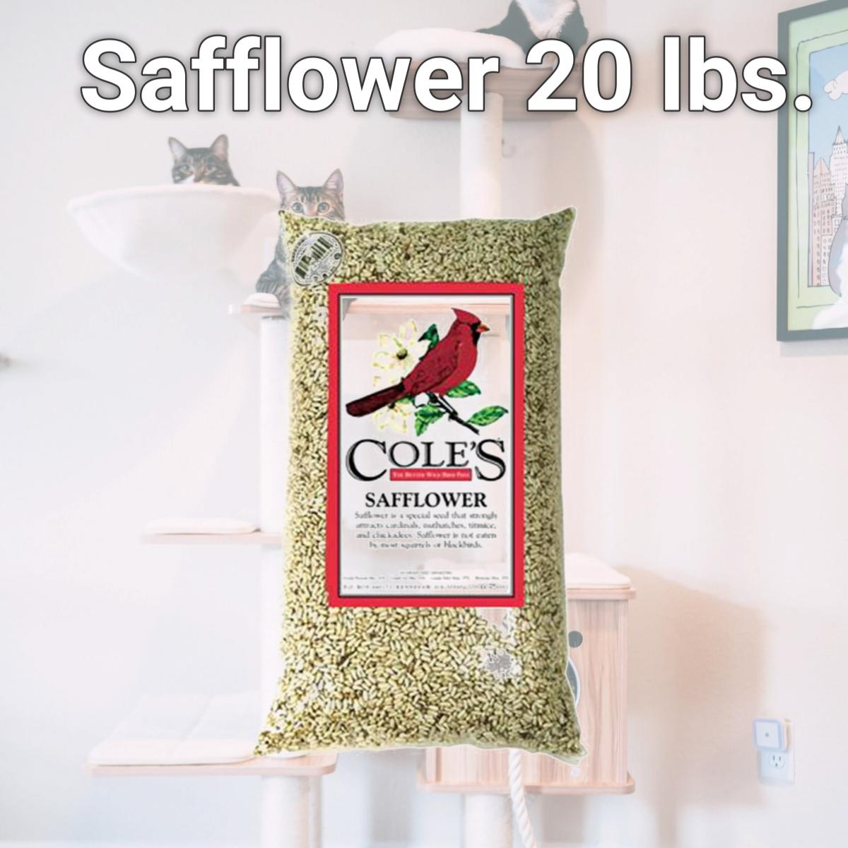 Picture of Coles Wild Bird Products Co COLESGCSA20 Safflower 20 lbs.