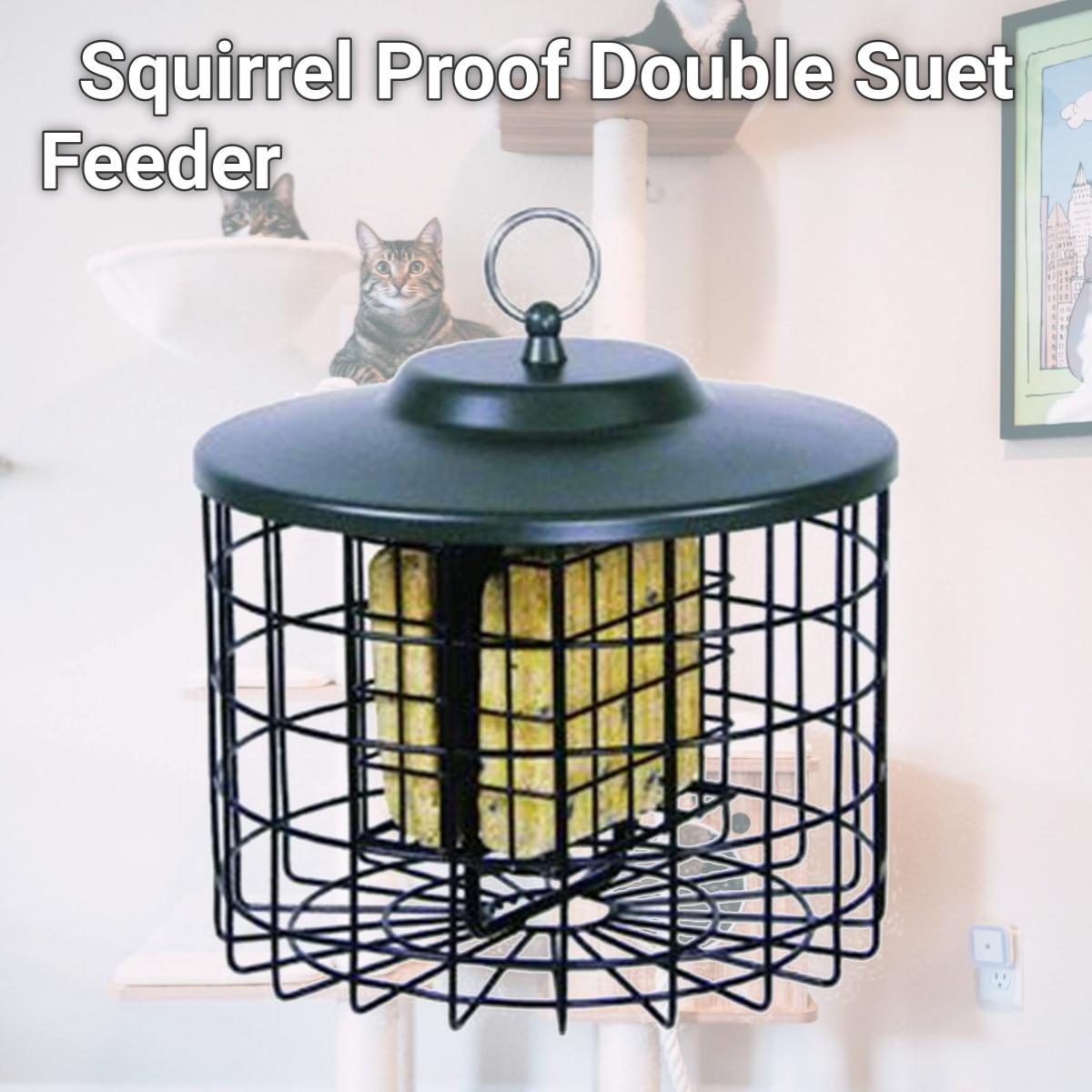 Picture of Hiatt Manufacturing HIATT38069 Squirrel Proof Double Suet Feeder