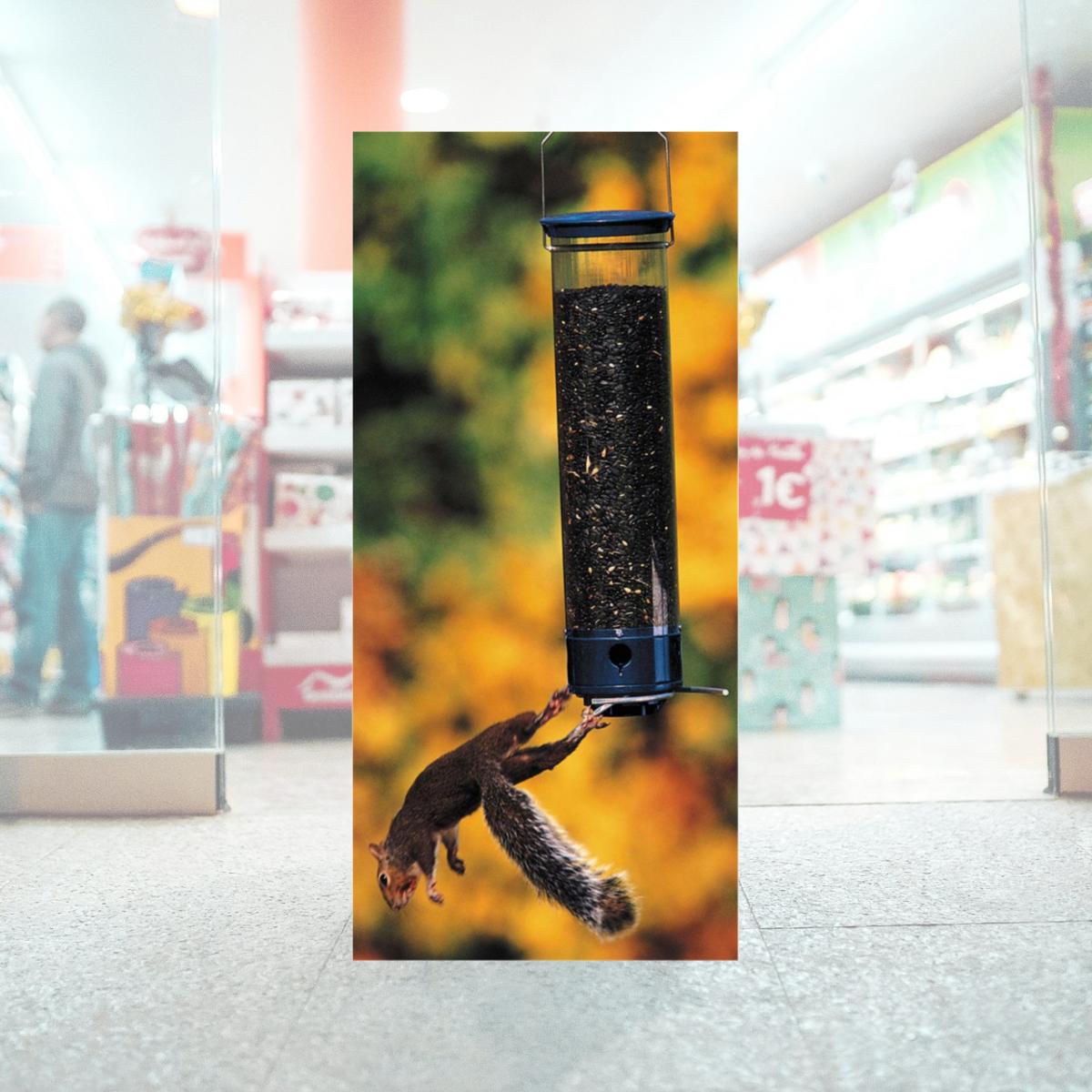 Picture of Droll Yankees  Inc Yankee Whipper 180 Degree Bird Feeder