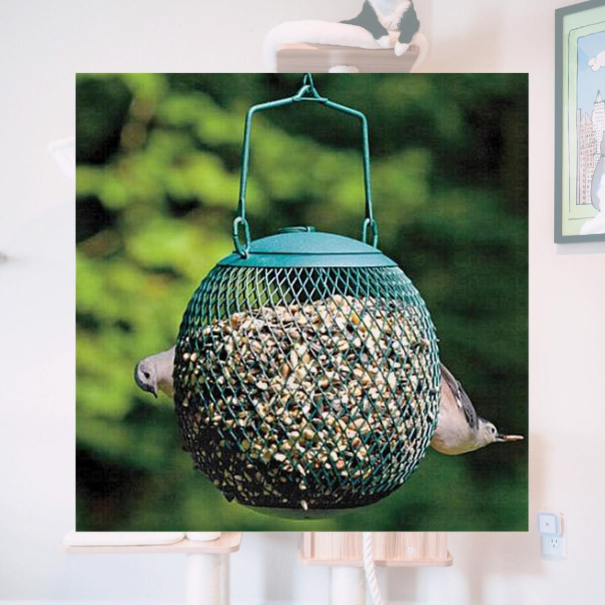 Picture of No-No Feeder The Seed Ball 
