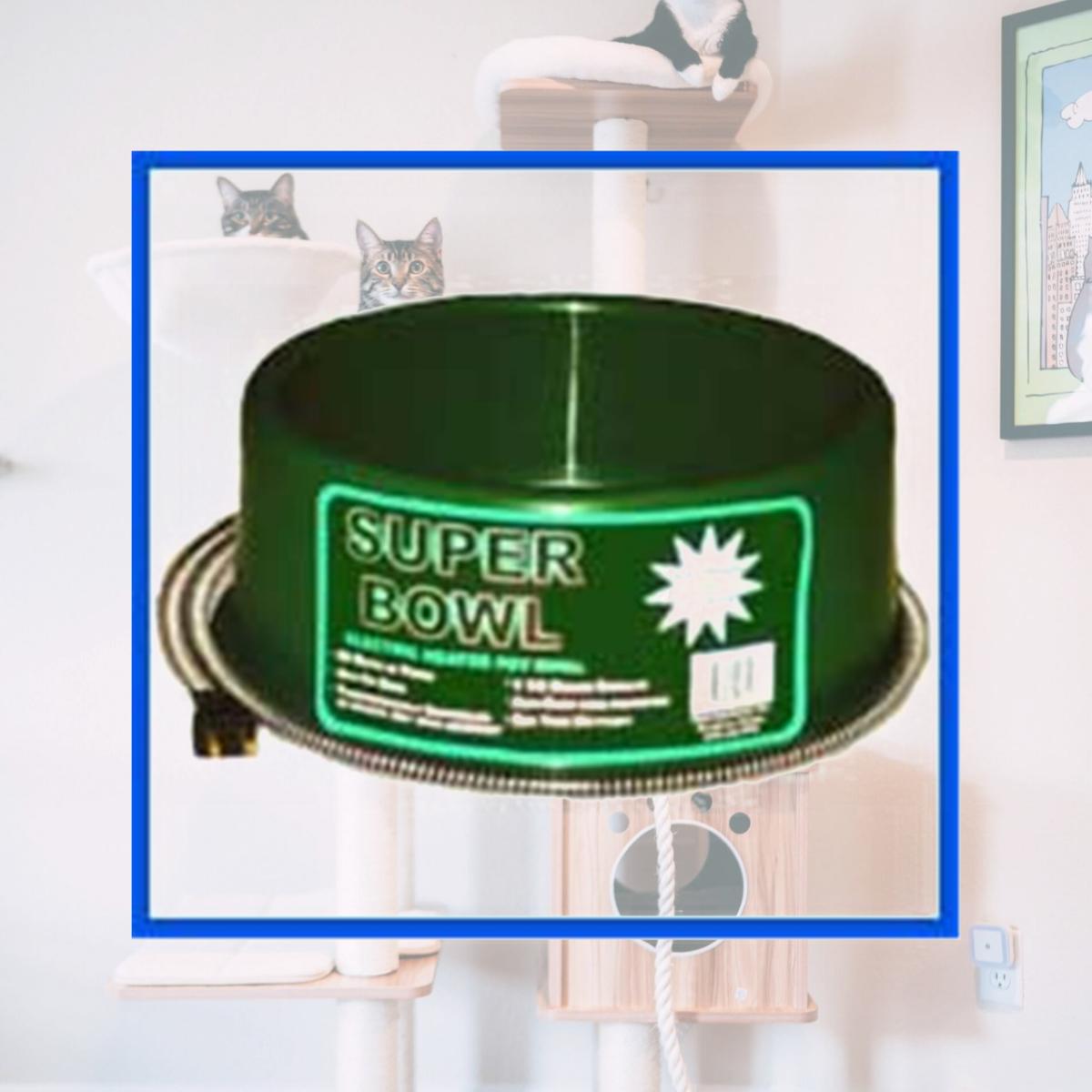 Picture of Farm Innovators Round Heated Pet Bowl - 60 Watt - Green