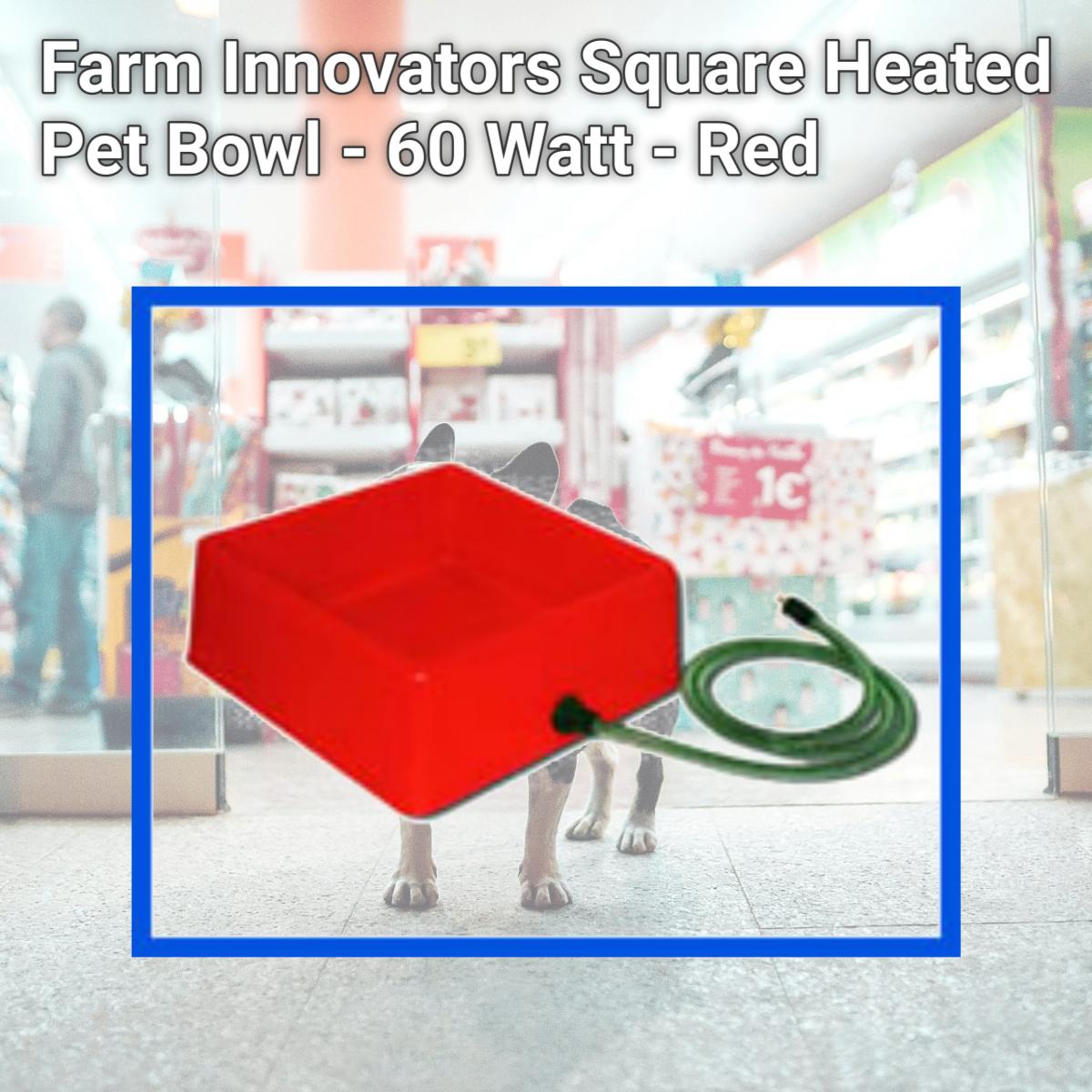 Picture of Farm Innovators Square Heated Pet Bowl - 60 Watt - Red