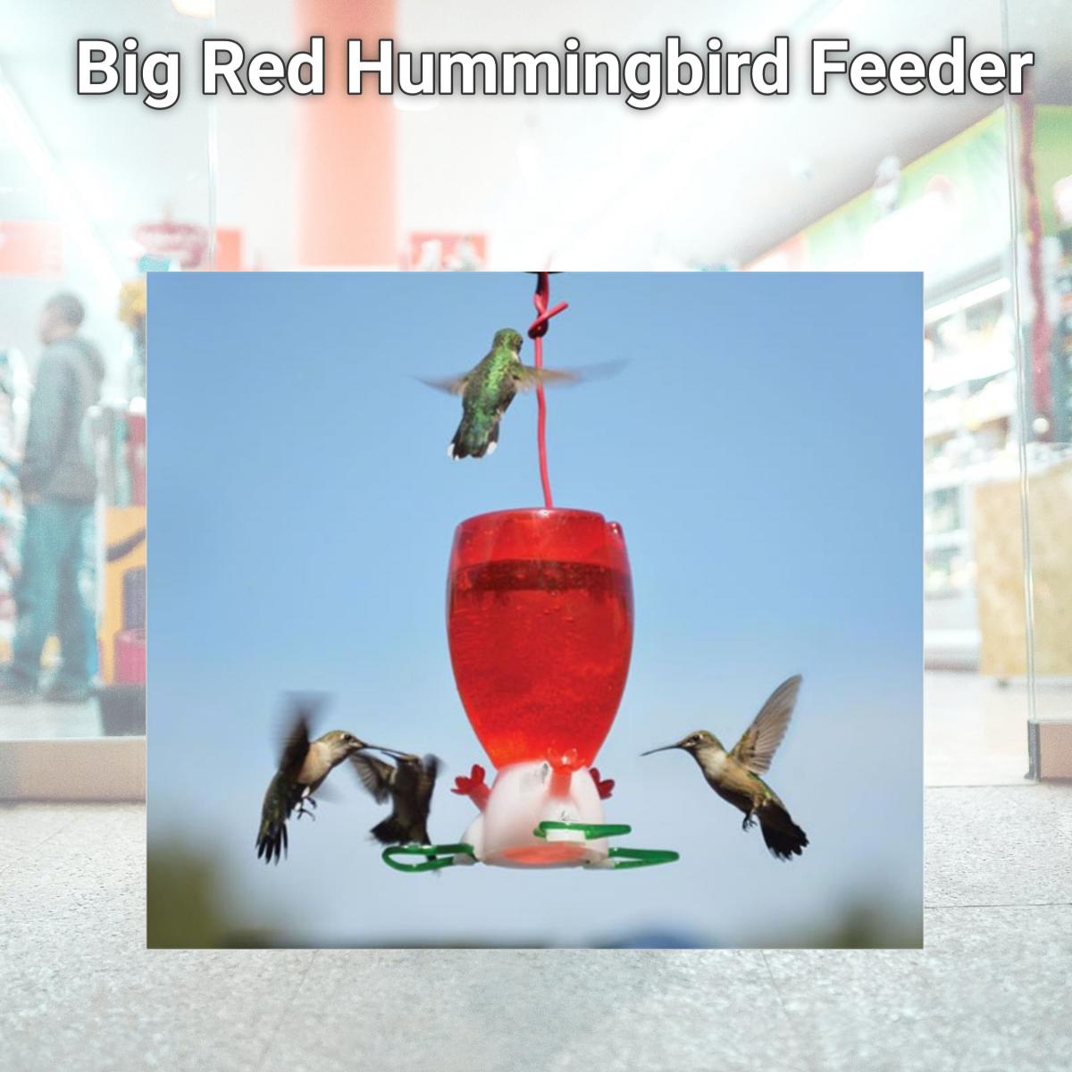 Picture of Songbird Essentials SE952 Big Red Hummingbird Feeder