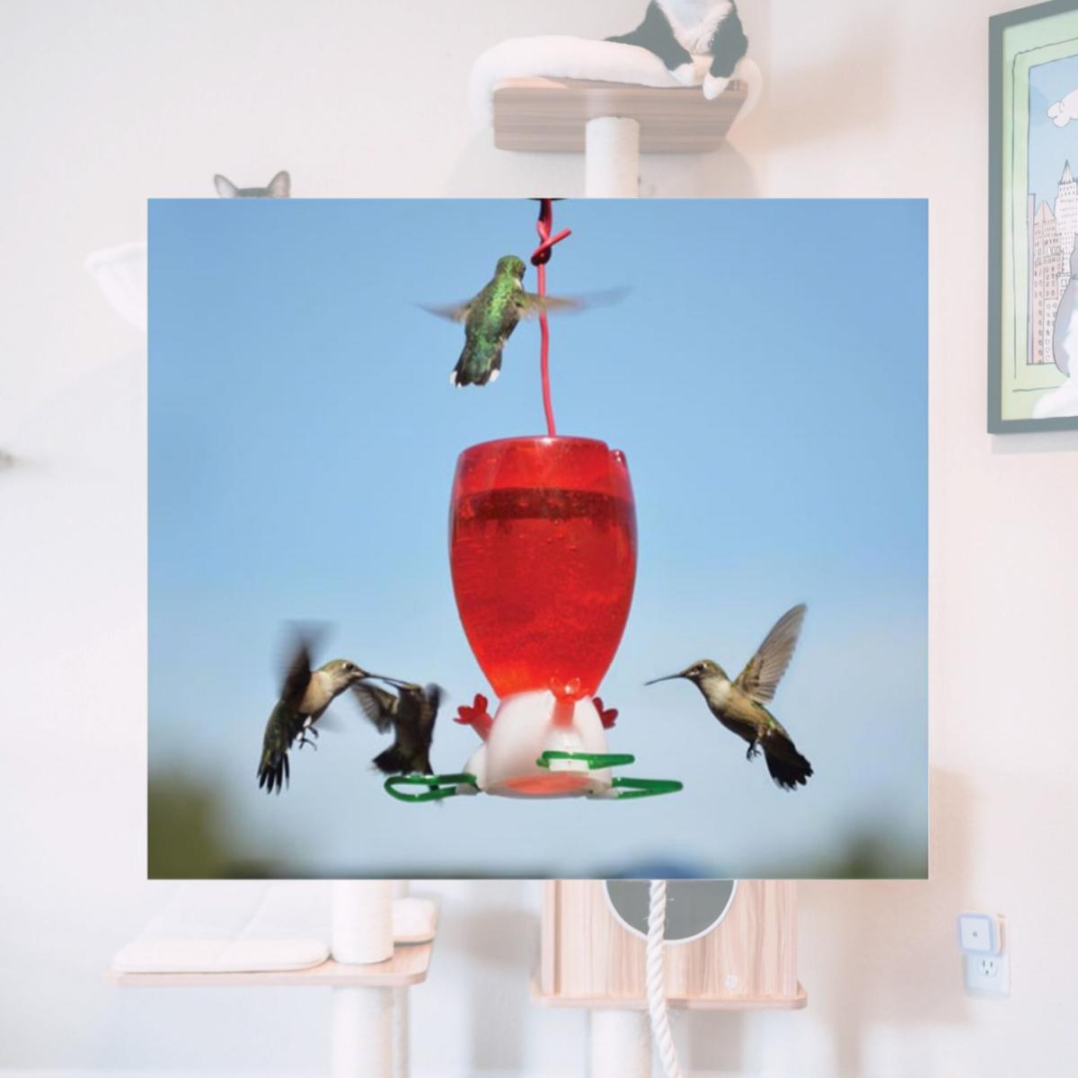 Picture of Songbird Essentials SE952 Big Red Hummingbird Feeder