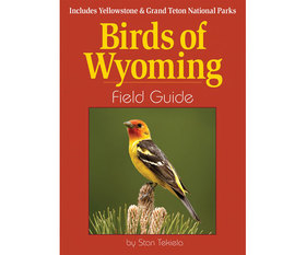 Picture of Adventure Publications AP37258 Birds of Wyoming FG