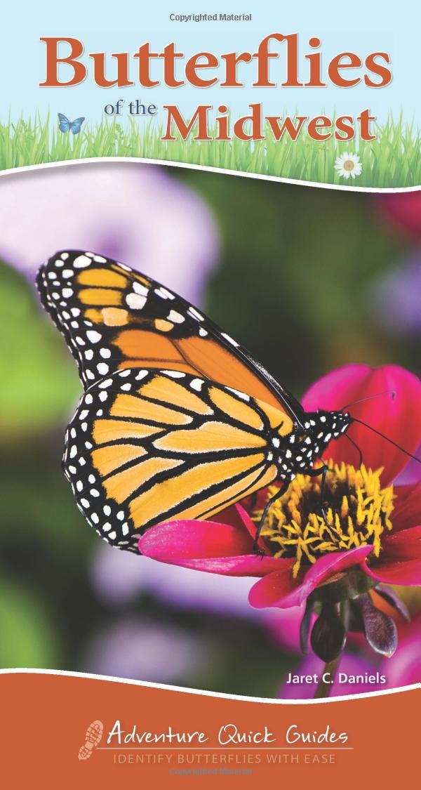 Picture of Adventure Publications AP35209 Butterflies of Midwest Quick Guide