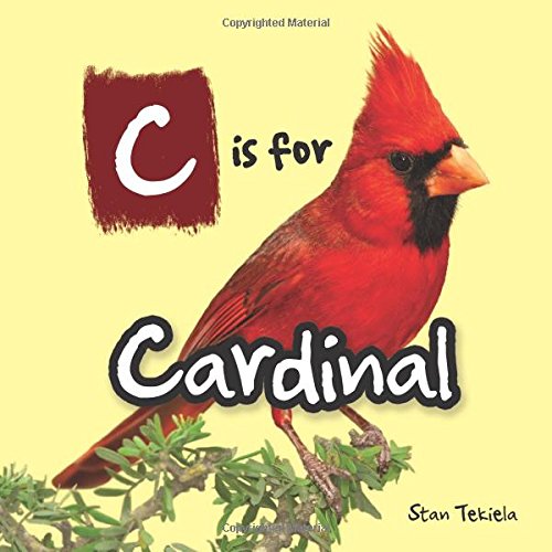 Picture of Adventure Publications AP35339 C is for Cardinal