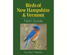 Picture of Adventure Publications AP36404 Birds of New Hampshire &amp; Vermont
