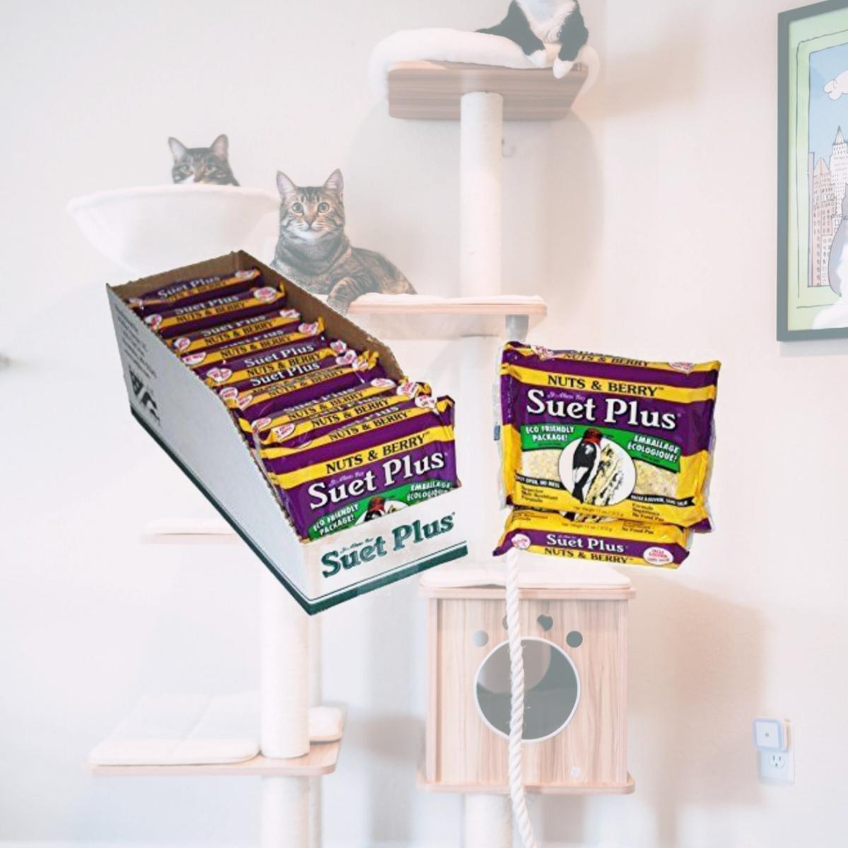 Picture of Wildlife Sciences WSC202 Nuts and Berry Blend Suet Cake - 11 Oz.