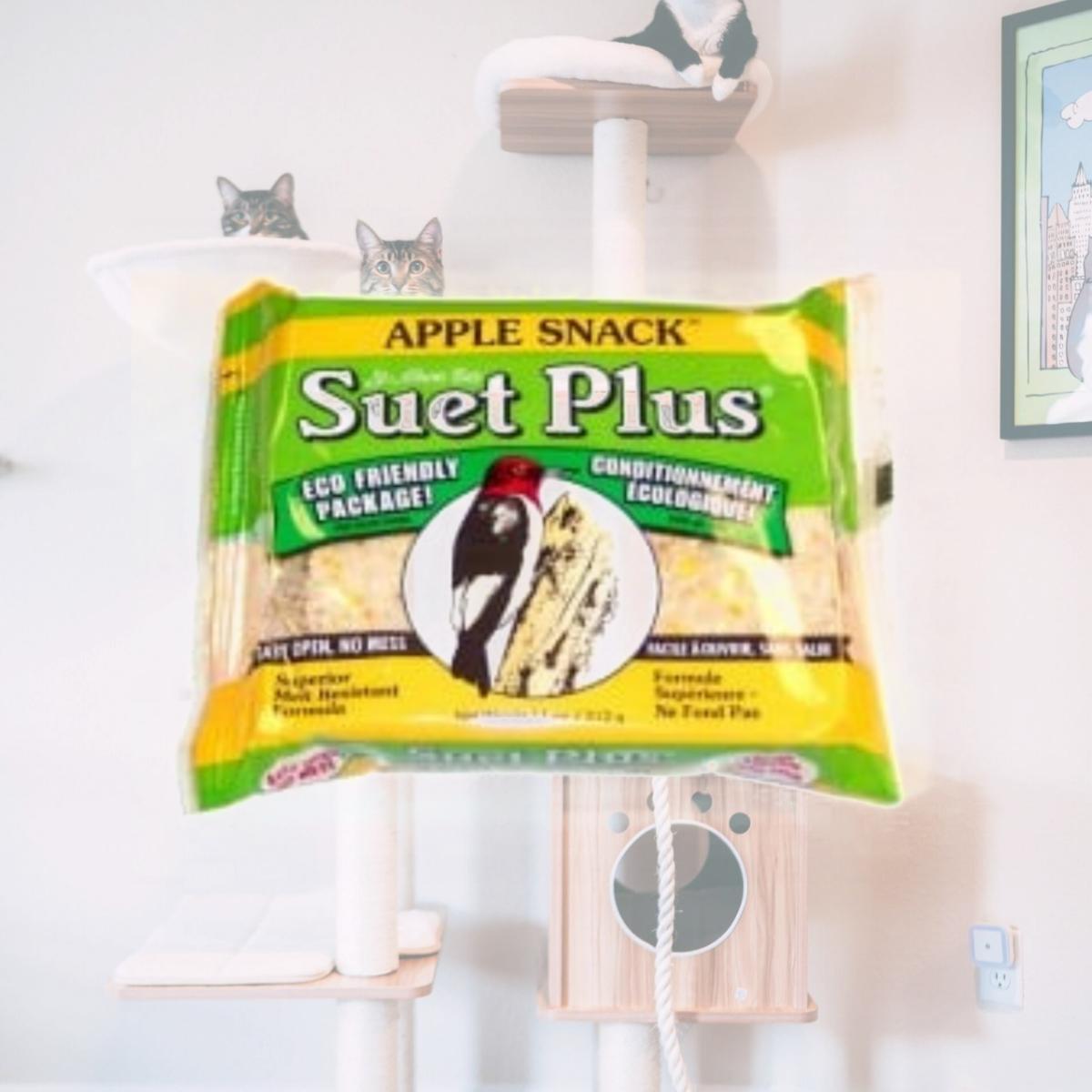 Picture of Wildlife Sciences WSC206 Apple Snack Suet Cake