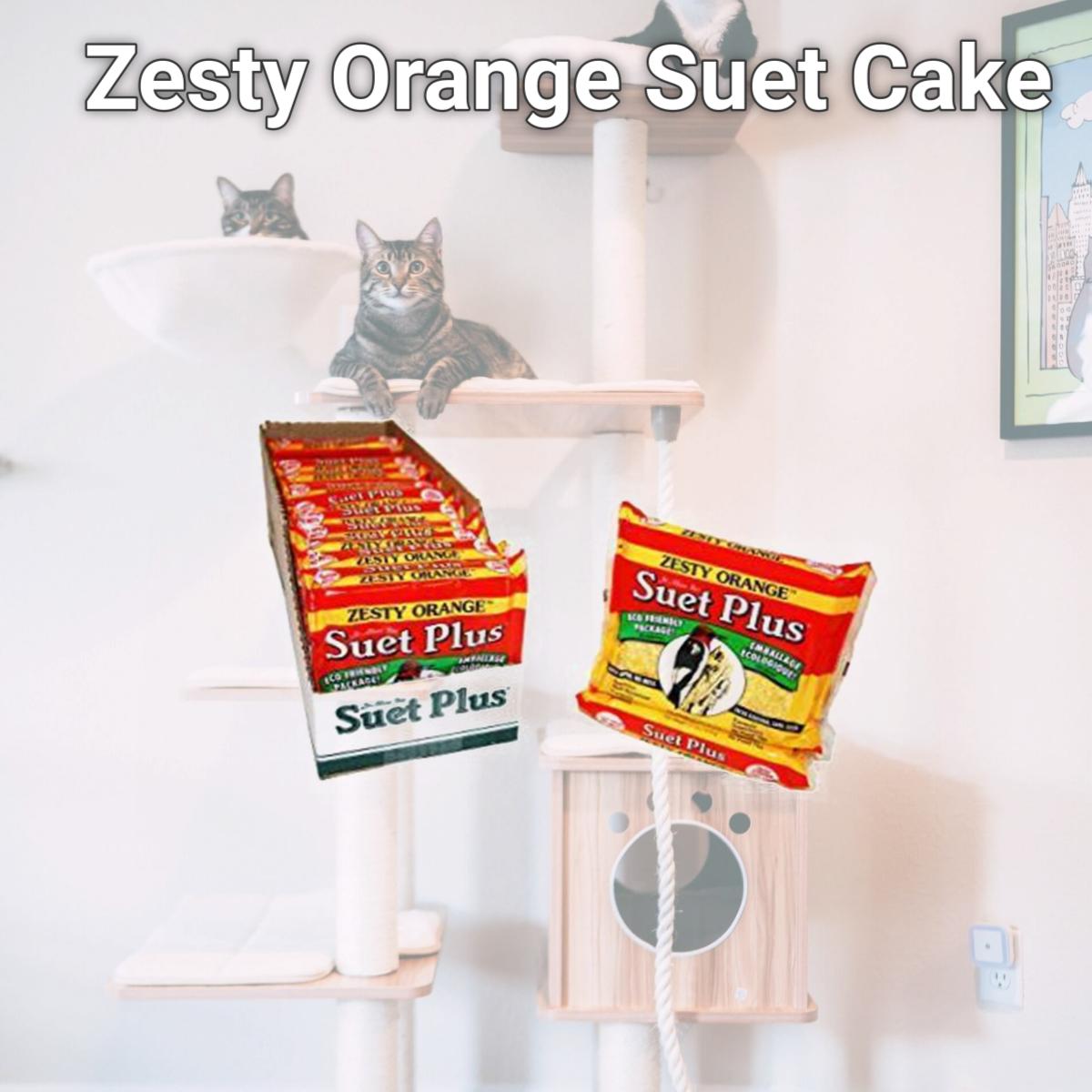 Picture of Wildlife Sciences WSC207 Zesty Orange Suet Cake