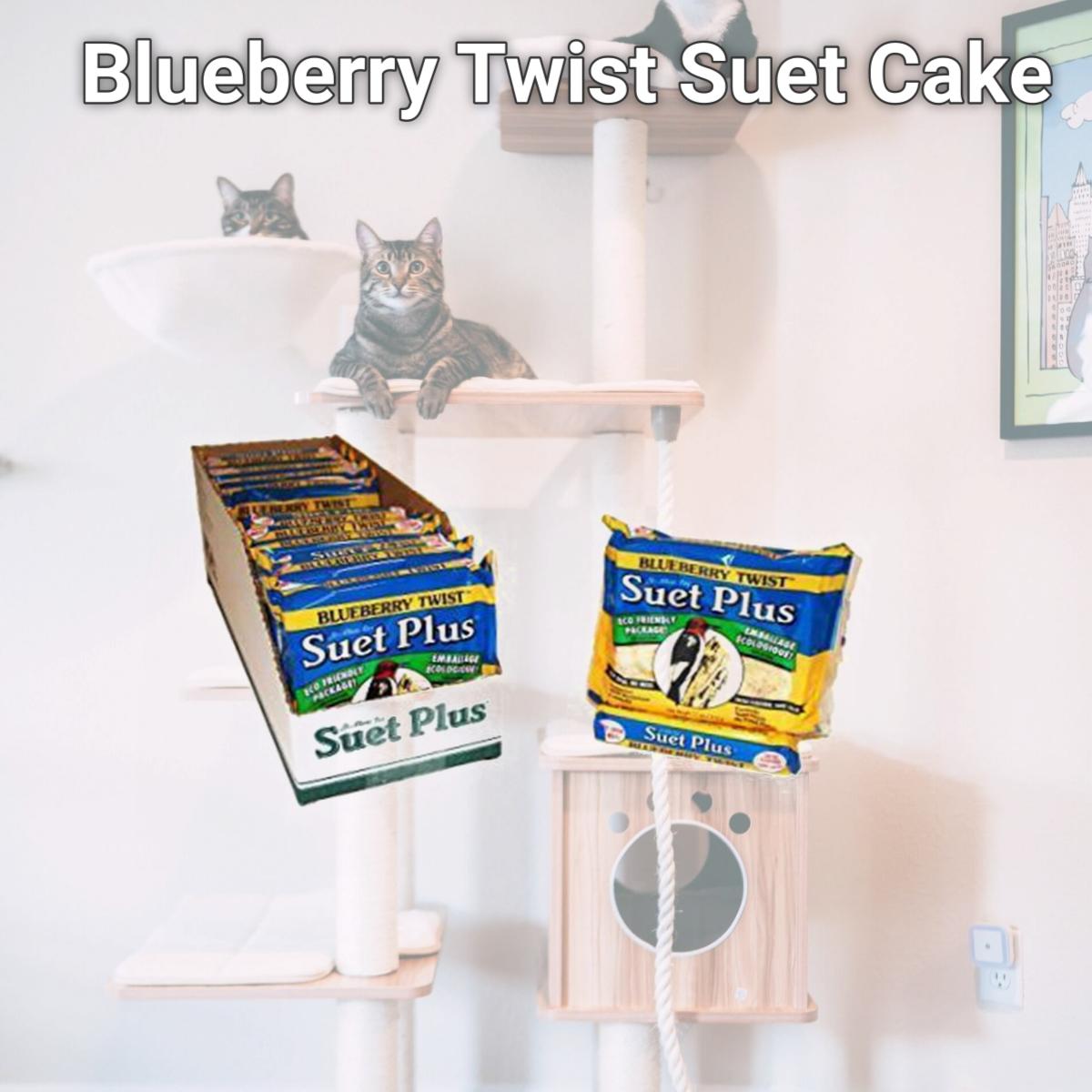 Picture of Wildlife Sciences WSC208 Blueberry Twist Suet Cake