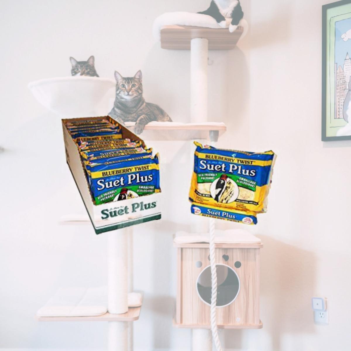 Picture of Wildlife Sciences WSC208 Blueberry Twist Suet Cake
