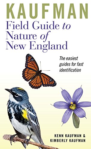 Picture of Houghton Mifflin Peterson Books HM0618456970 Kaufman Field Guide to Nature of New England