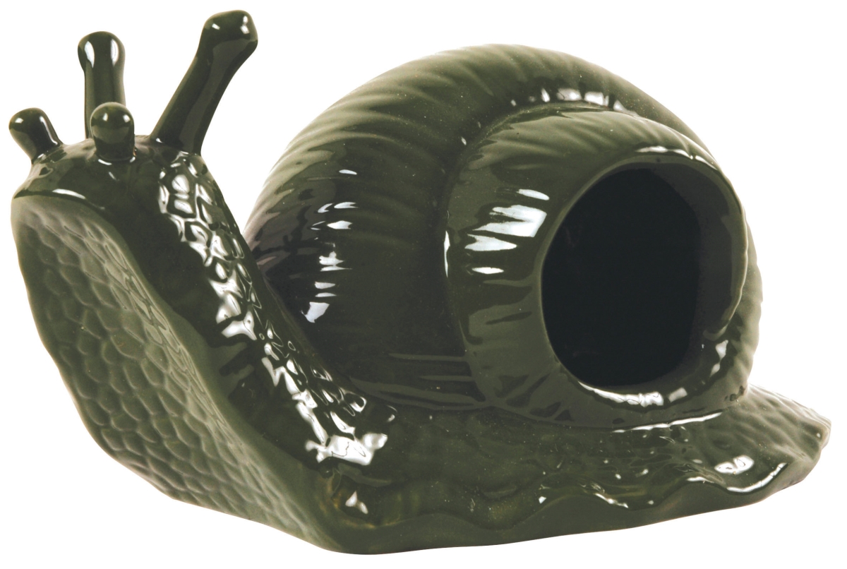 Picture of Best for Birds BFBFY04 Ceramic Snail-Shaped Slug Trap