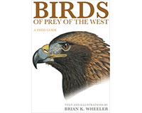 Picture of Princeton University Press - Ingram Publish PR978069111718 Birds of Prey of the West a Field Guide