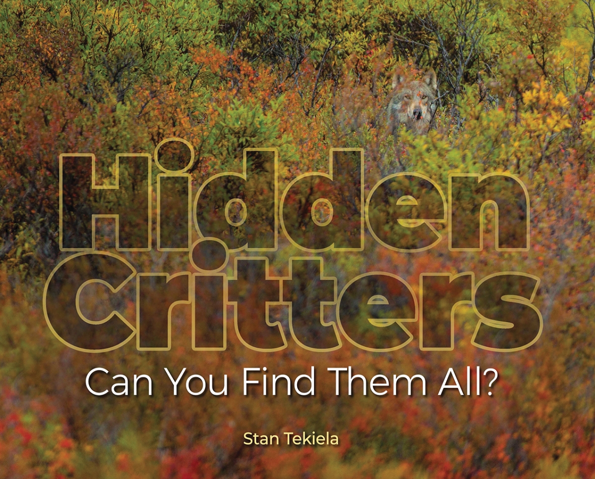 Picture of Adventure Keen AP38125 Hidden Critters - Can You Find Them All