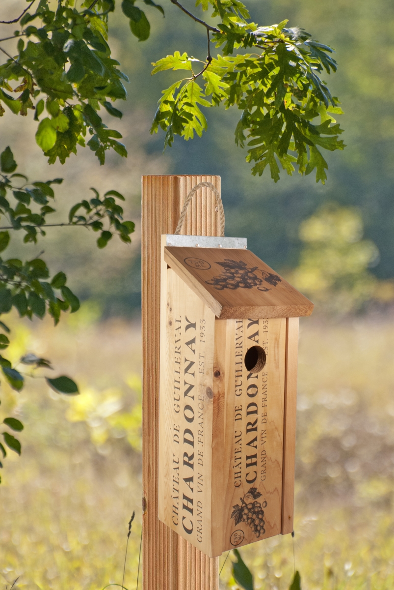 Picture of Woodlink WL24352 Novelty Wine Crate Bluebird House