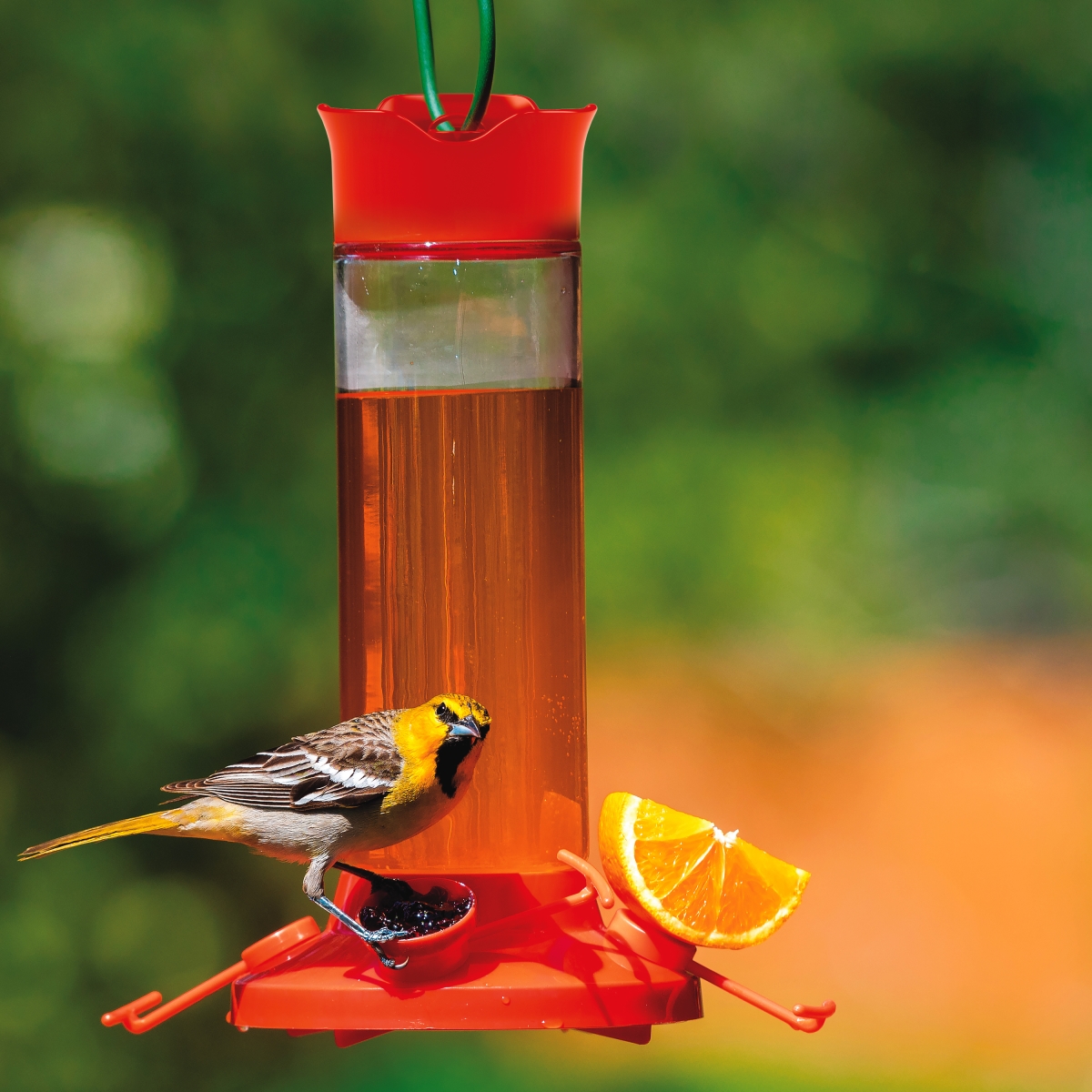 Picture of Perky Pet PP209BO Glass Oriole Feeder - 1 Piece
