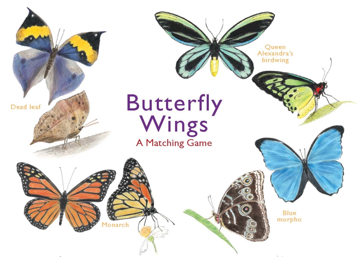 Picture of Chronicle Books CB9781786272850 Butterfly Wings a Matching Game