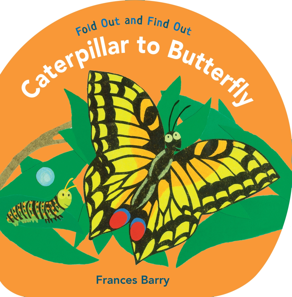 Picture of Random House RH0763642617 Caterpillar to Butterfly Fold Out &amp; Find Out