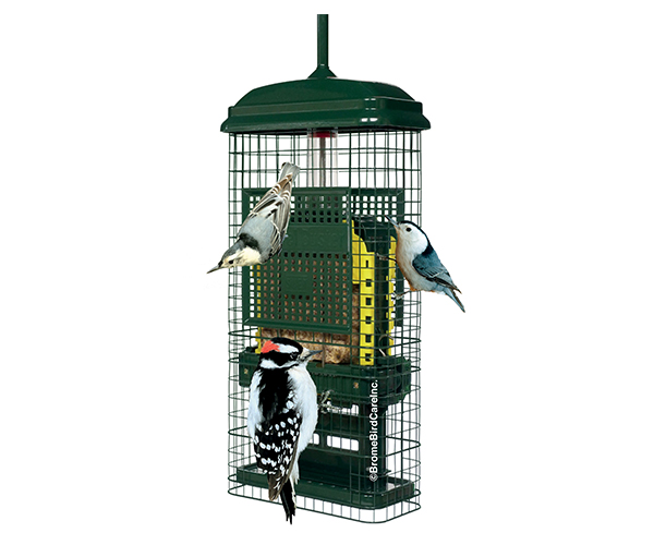 Perky Pet Pp312 21 082 X 21 082 X 23 368cm Brown Panorama Bird