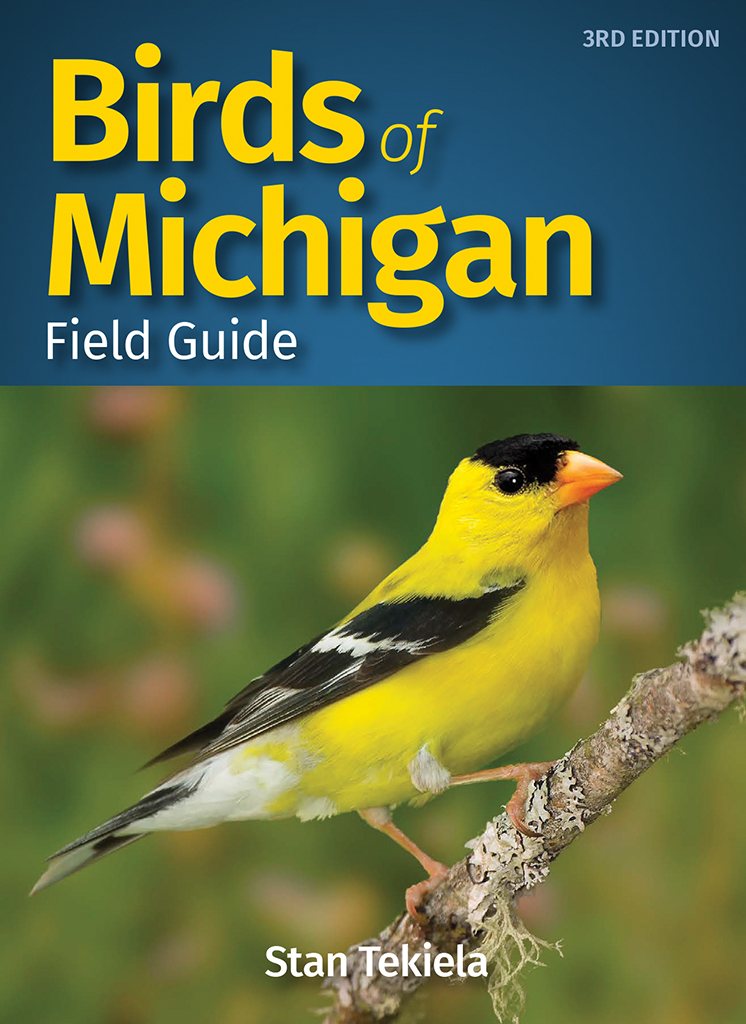Picture of Adventure Keen AP39009 Birds Michigan Field Guide 3rd Edition Book