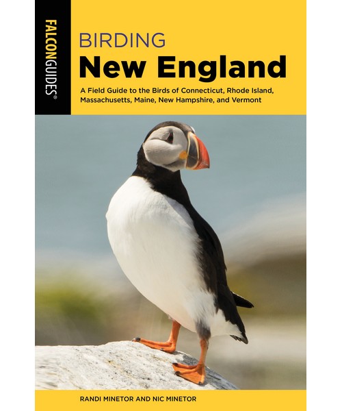 Picture of Waterford Press WFP1493033881 Birding New England Book
