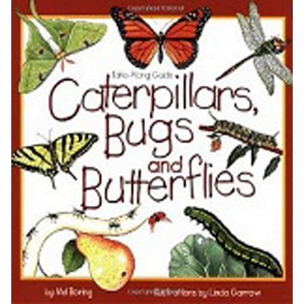 Picture of Waterford Press WFP1559716741 Caterpillars Bugs & Butterflies Scrapbook