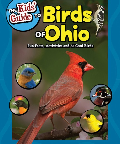 Picture of Adventure Keen Publication AP38378 The Kids Guide to Birds of Ohio Book
