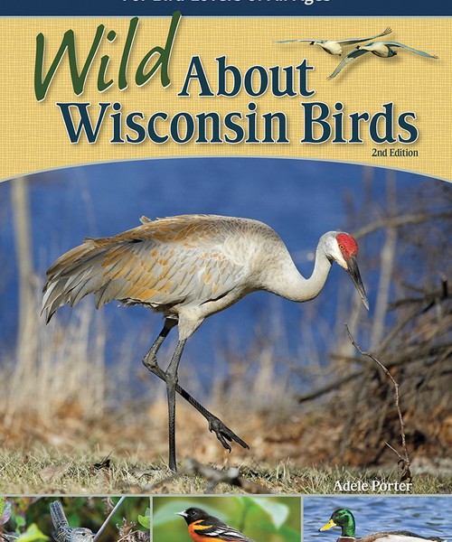Picture of Adventure Keen Publication AP39061 Wild About Wisconsin Birds Phographs