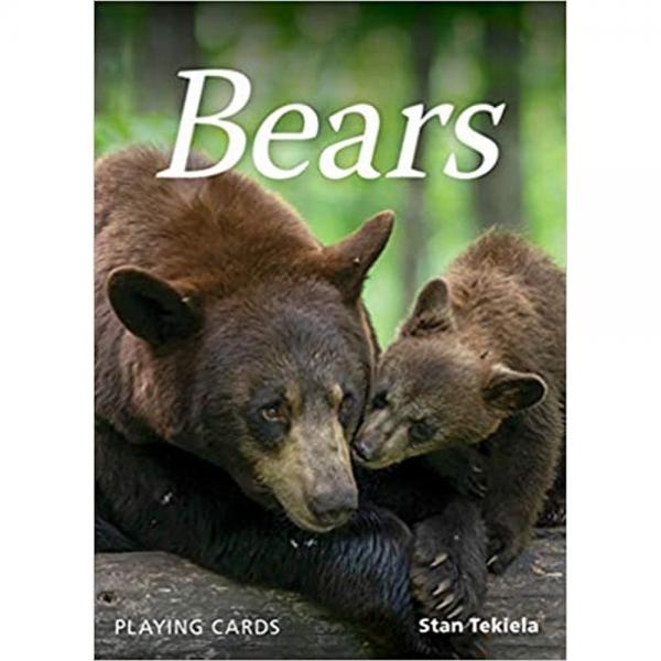 Picture of Alices Cottage AP39573 Bears Playing Cards