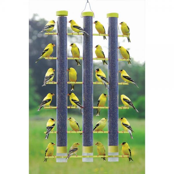 Picture of Songbird Essentials SE324Y Finches Favorite 3 Tube Feeder, Yellow