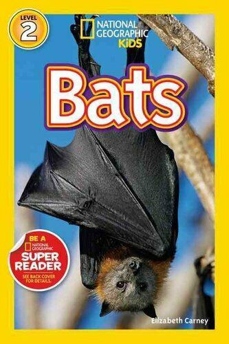 Picture of Hachette Book Group USA HBG1426307102 Bats by Elizabeth Carney Book