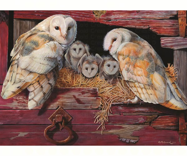 Picture of Outset Media Games OM80052 Barn Owls Puzzle - 1000 Piece