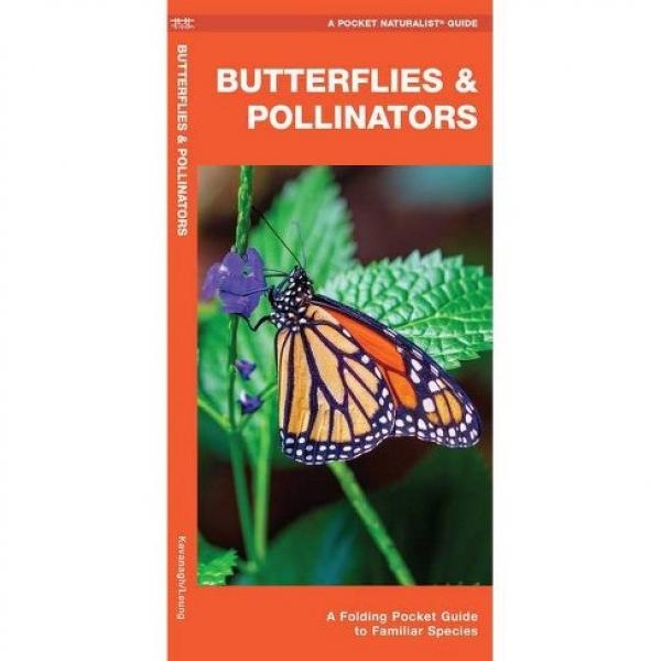 Picture of Waterford Press WFP1620054666 Butterflies & Pollinators-A Folding Pocket Guide to Familiar Species