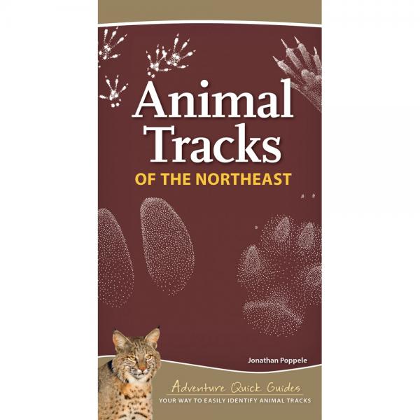 Picture of Adventure Publications AP50769 Animal Tracks of the Northeast Guidebook