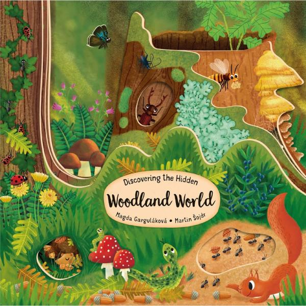 Picture of Fox Chapel Publishing FCP1641241458 Discovering The Hidden Woodland World Childrens Books