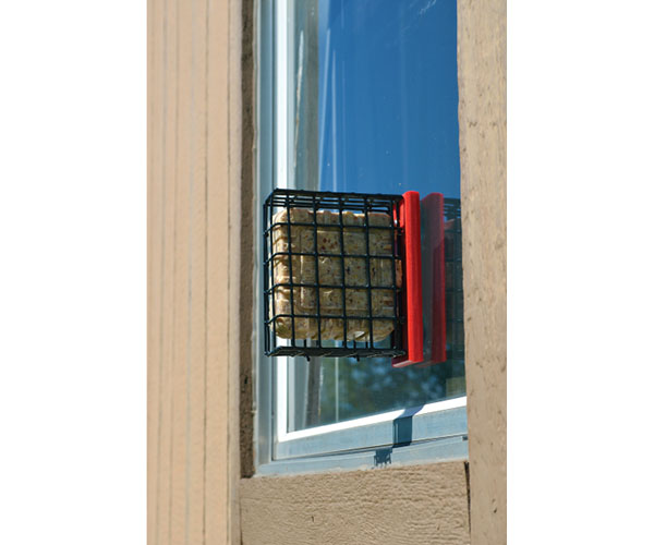 Picture of Brushart SERUBSWFR Red Suet Window Feeder - Medium
