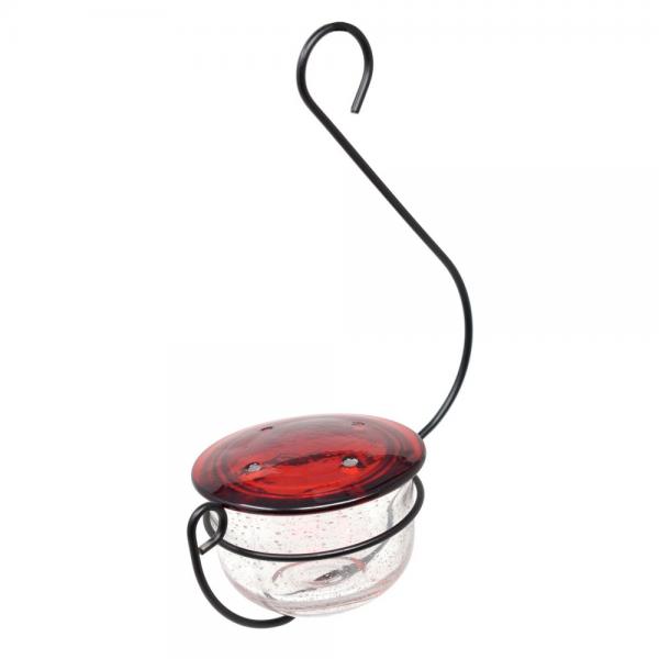 Picture of Backyard Essentials BE176 Clear Glass Hanging Hummingbird Feeder