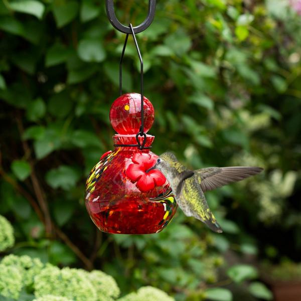 EV3502R LunaLite Globe Hummingbird Feeder - Red -  Echo Valley