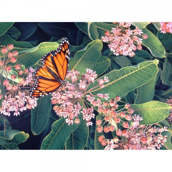 Picture of Gift Essentials GEP111 Monarch on Milkweed Puzzle - 1000 Piece