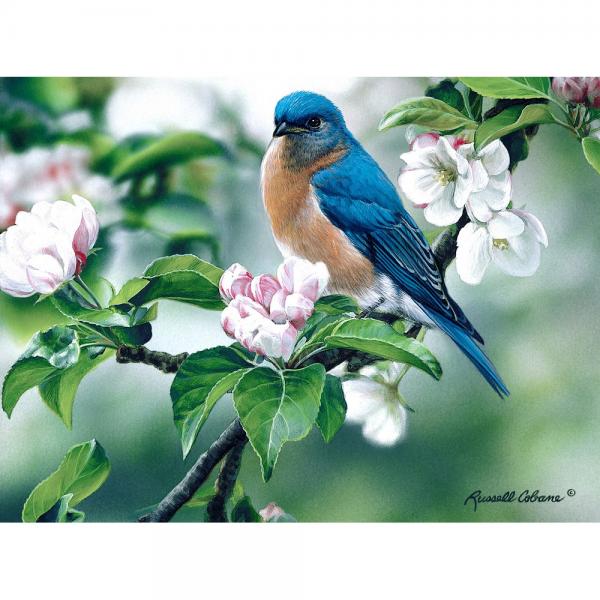 Picture of Gift Essentials GEP113 Bluebird on Apple Blossoms Puzzle - 1000 Piece